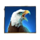 bison moon megaways eagle symbol icon