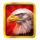 bison ridge power combo eagle symbol icon