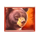 bisonado 2 prizematch bear symbol icon