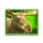 bisonado 2 prizematch moose symbol icon