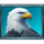bisonado prizematch eagle symbol icon