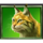 bisonado prizematch wild cat symbol icon