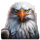 bivol beasts eagle symbol icon