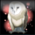 black magic owl symbol icon