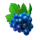 blasting rubies grapes symbol icon