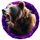 blazing buffalo bear symbol icon