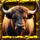 blazing buffalo buffalo symbol icon