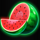 blazing coins 20 melon symbol icon