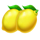 blazing coins 27 lemon symbol icon