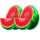 blazing coins 27 melon symbol icon