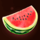 blazing crown watermelon symbol icon
