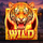 blessings of caishen wild symbol icon
