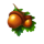 blue bird bonus acorn symbol icon