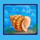blue dolphin shell symbol icon