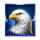 bonanza link midnight train x1000 eagle symbol icon