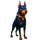 bone rush megaways oranje jackpot dog 2 symbol icon