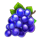 bonus epic crown grapes symbol icon