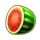 bonus epic wild extralines watermelon symbol icon