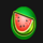 bonus fruits watermelon symbol icon