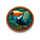 bonus wheel jungle tucano symbol icon
