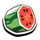 bonzos bananza watermelon slice symbol icon