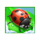 book of charms christmas edition beetle symbol icon