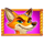 book of chickens fox symbol icon