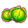 book of chickens letuce symbol icon