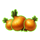 book of chickens onions symbol icon