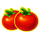 book of chickens tomatoes symbol icon