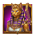 book of crown betset symbol icon