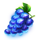 book of crystal fruits grape symbol icon