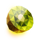 book of crystal fruits kiwi symbol icon