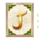 book of darius j symbol icon