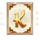 book of darius k symbol icon