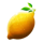book of diamonds lemon symbol icon