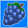 book of jokers grapes symbol icon
