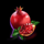 book of juno pomegranate symbol icon