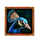 book of majestic claws peacock symbol icon