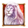 book of majestic king lion symbol icon