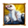 book of majestic king vultur symbol icon