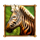 book of majestic king zebra symbol icon
