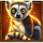 book of majestic lemur golden lemur symbol icon