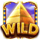 book of the full moon wild symbol icon