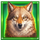 book of the golden buffalo wolf symbol icon