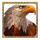 book of tribes reloaded eagle symbol icon