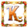 book of xmas king symbol icon