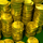 break da bank again coins symbol icon