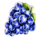 brilliant heart grapes symbol icon