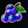 brilliant wilds grapes symbol icon